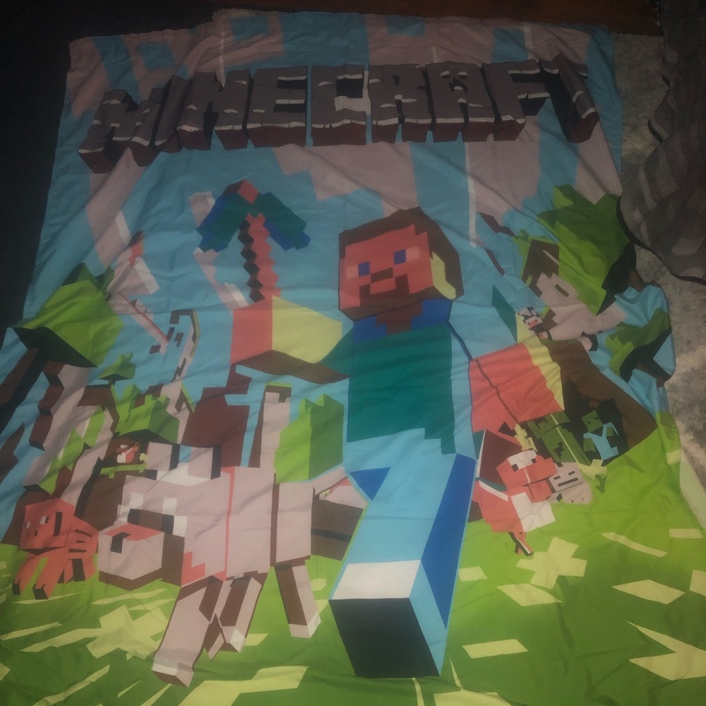 Minecraft curtains x2